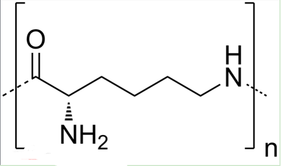 Ce6-RGD 二氢卟吩-聚赖氨酸