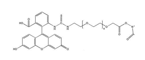 FITC-PEG -NHS