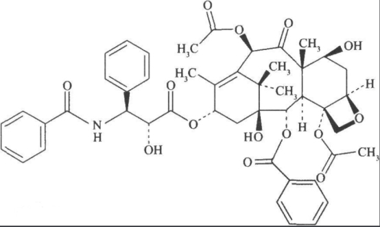 多巴胺修饰紫杉醇