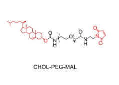  CLS-PEG-MAL