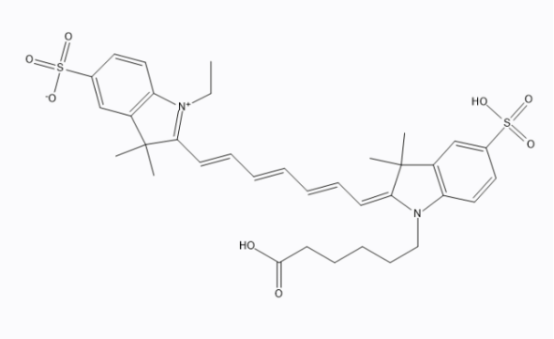 PTX-Cyanine7