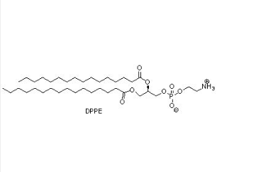 DPPE-PEG-MTX 