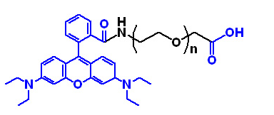 Rhodamine-PEG-Acid