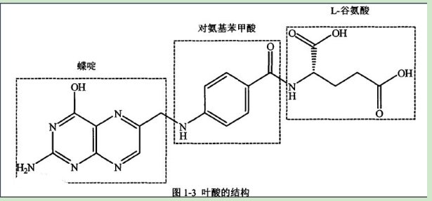 顺铂-叶酸