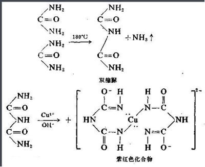 CDDP-Ovalbumin 顺铂-卵清蛋白