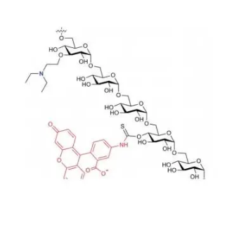 罗丹明标记葡聚糖