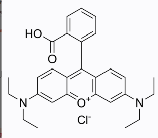 罗丹明B-PEG-顺铂