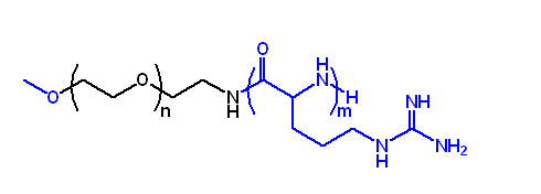 MPEG-聚精氨酸