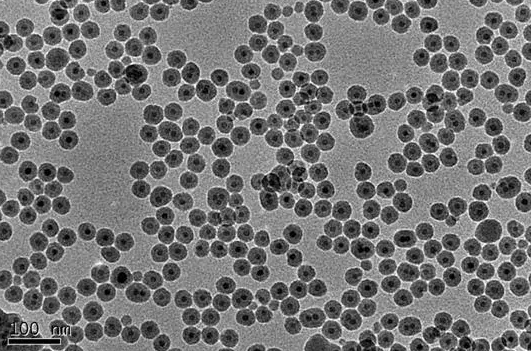 油溶性上转换纳米颗粒 Oil dispersible upconverting nanoparticles