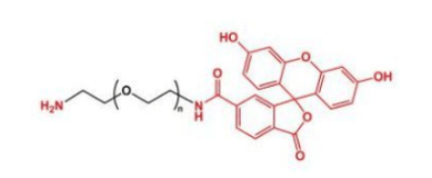 FITC-NH2