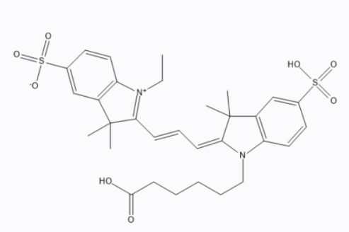 环丙沙星-聚乙二醇-CY3