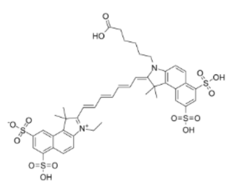 环丙沙星-聚乙二醇-CY7.5 