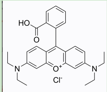 环丙沙星-聚乙二醇-罗丹明B