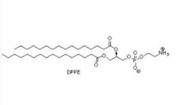 Ciprofloxacin-PEG-DPPE