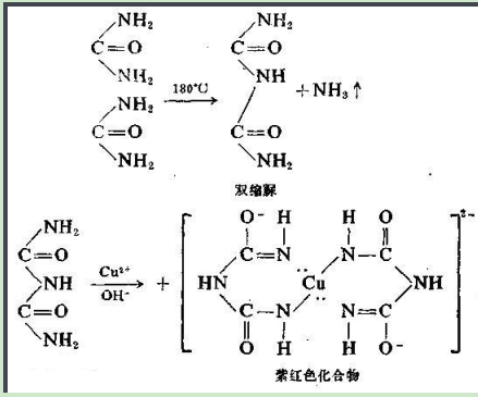 甲硝唑-聚乙二醇-卵清蛋白