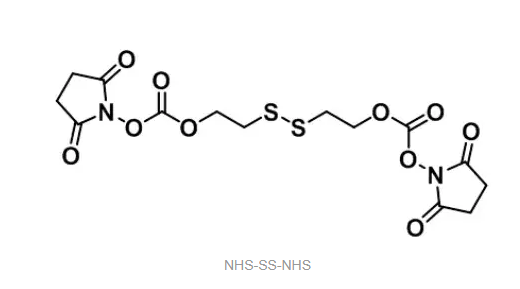 NHS-SS-NHS，活性酯-双硫键-活性酯，琥珀酰亚胺-双硫键活性酯-琥珀酰亚胺 定制合成