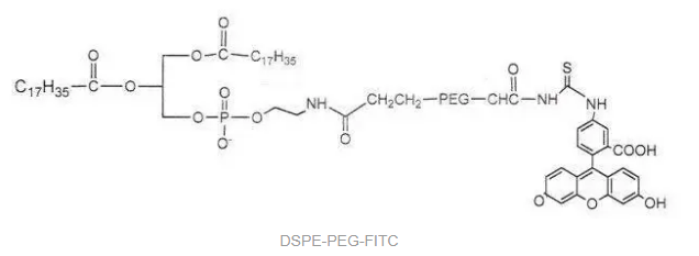 DSPE-PEG-FITC，磷脂-聚乙二醇-荧光素，FITC-PEG2000-DSPE，具有亲水性和疏水性的磷脂PEG共轭物