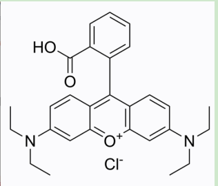 金刚烷-聚乙二醇-罗丹明B 