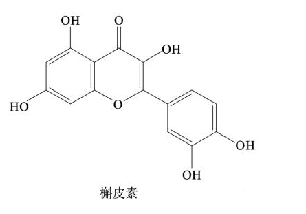 QQ截图20230223151150.png