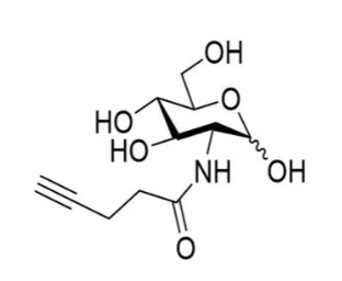 1030262-99-7，2-(4-戊炔酰氨基)-2-脱氧-D-吡喃葡萄糖，2-(4-pentynoylamino)-2-deoxy-D-glucopyranose