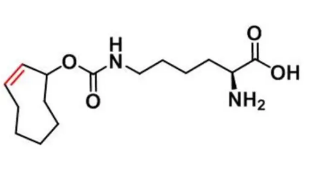 cas：1580501-94-5，N-(2E)-TCO-L-lysine，分子量，分子式，纯度 介绍--西安齐岳生物