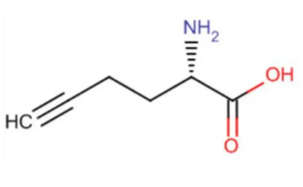 L-Homopropargylglycine (HPG)