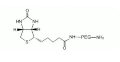 Biotin-PEG-NH2