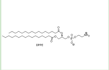 DPPE-PEG-磺胺地索辛