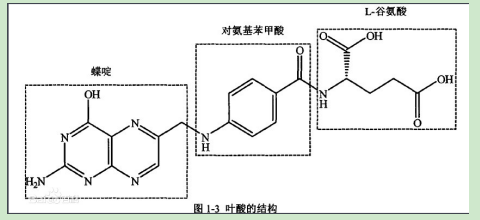 茴香酰胺-聚乙二醇-叶酸 