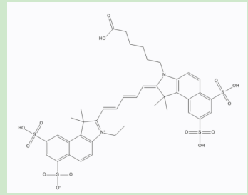 茴香酰胺-聚乙二醇-CY5.5 