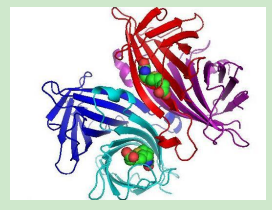 anisamide-PEG-Streptavidins