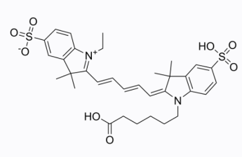 姜黄素-聚乙二醇-CY5 