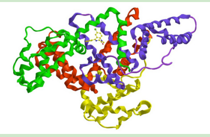 Curcumin-PEG-HAS