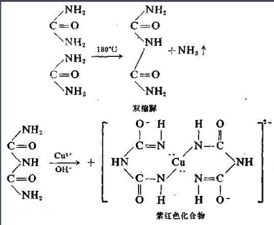 姜黄素-聚乙二醇-卵清蛋白