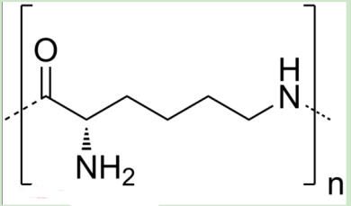 姜黄素-聚乙二醇-聚赖氨酸 