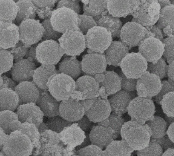 Streptavidin Gold Nanoparticles