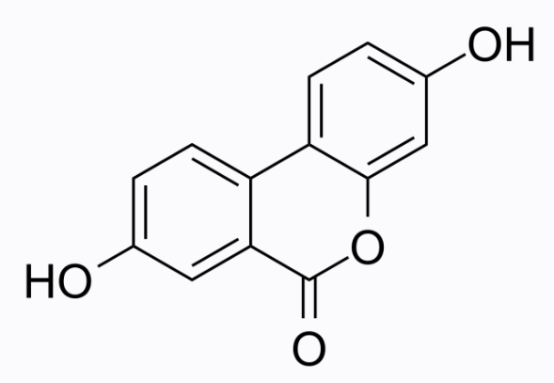 Urolithin A 尿石素A