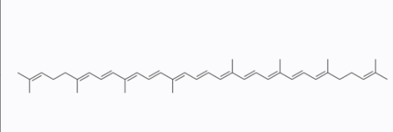 Lycopene 番茄红素 