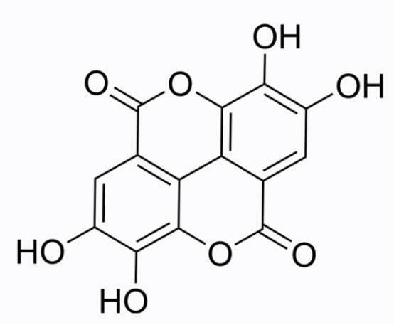 Ellagic acid 鞣花酸