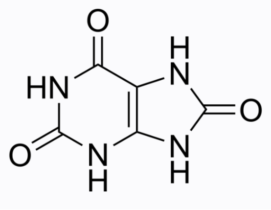 尿酸 CAS号69-93-2 
