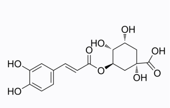 Chlorogenic acid 绿原酸 