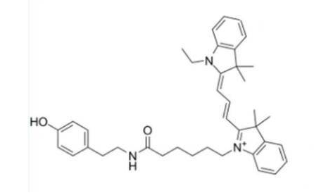 Tyramide-Cy3 