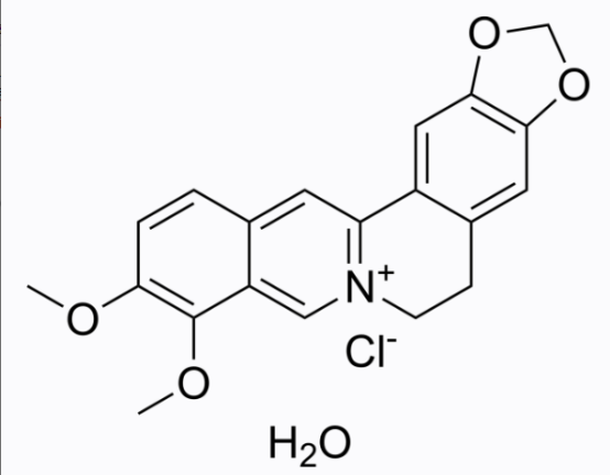 cas:68030-18-2 Berberine chloride hydrate