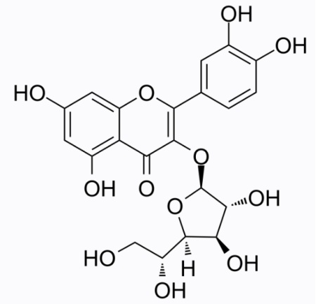 cas:21637-25-2 Isoquercitrin 