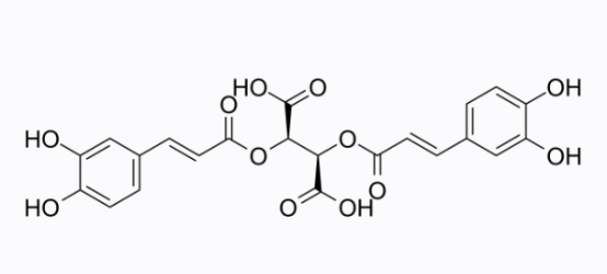 cas:6537-80-0 Chicoric acid 菊苣酸 