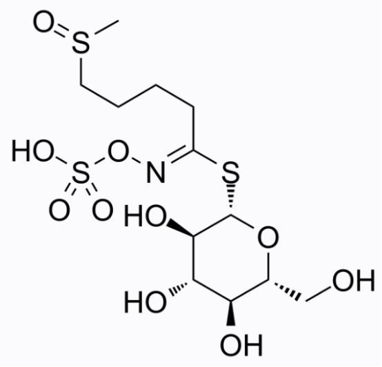 cas:21414-41-5 Glucoraphanin