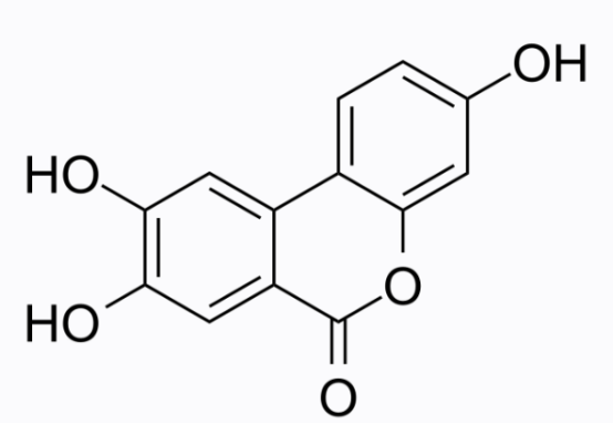 cas:165393-06-6 Urolithin