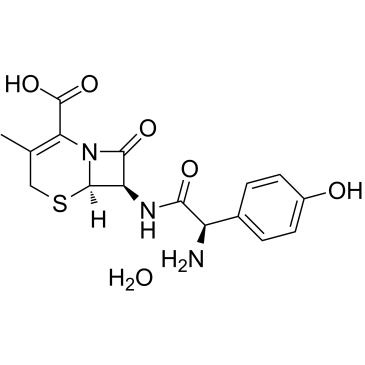 cefadroxil monohydrate 