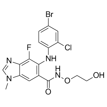 Selumetinib (AZD6244) 