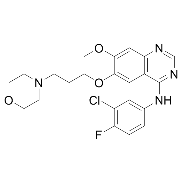 Gefitinib 